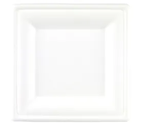 10" Bagasse Compostable Plates Square