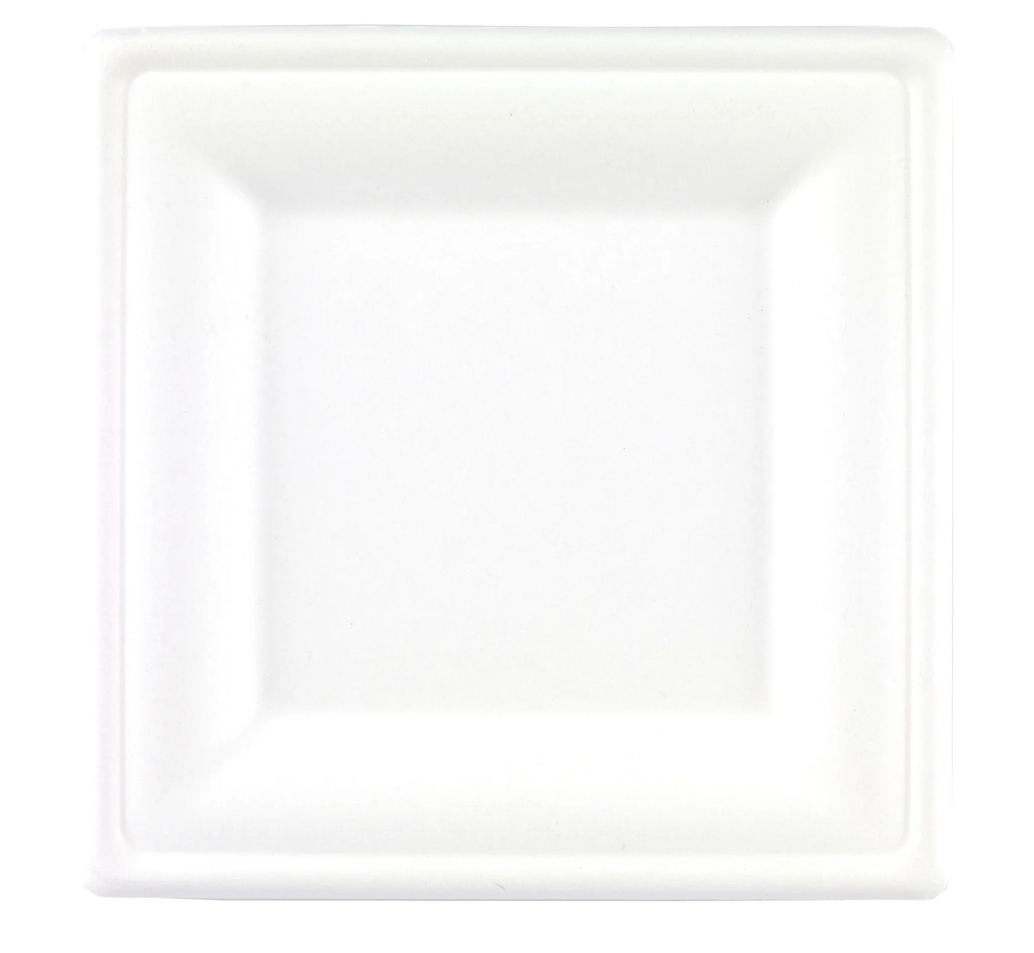 10" Bagasse Compostable Plates Square