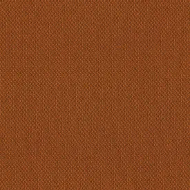 Biotope - Infauna - 4113 - 08 - Half Yard