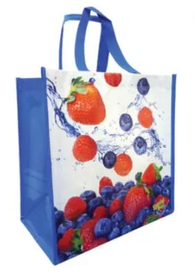 Everyday Medium Laminated Non-Woven PP Grocery Bag