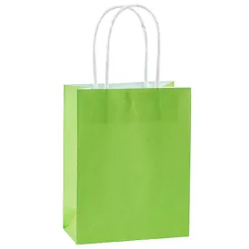 Kiwi Small Paper Gift Bags 8"  | 10 ct