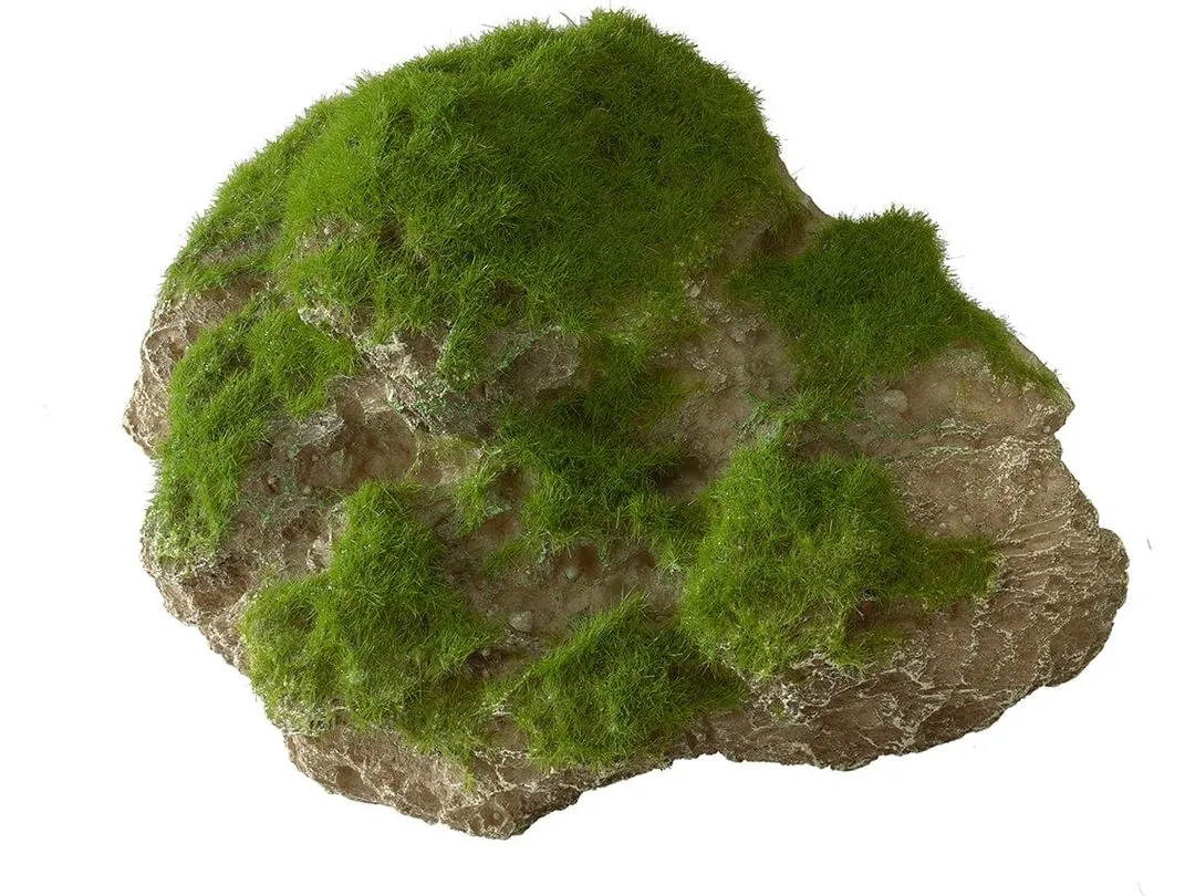 Moss Stone With Suction Cup