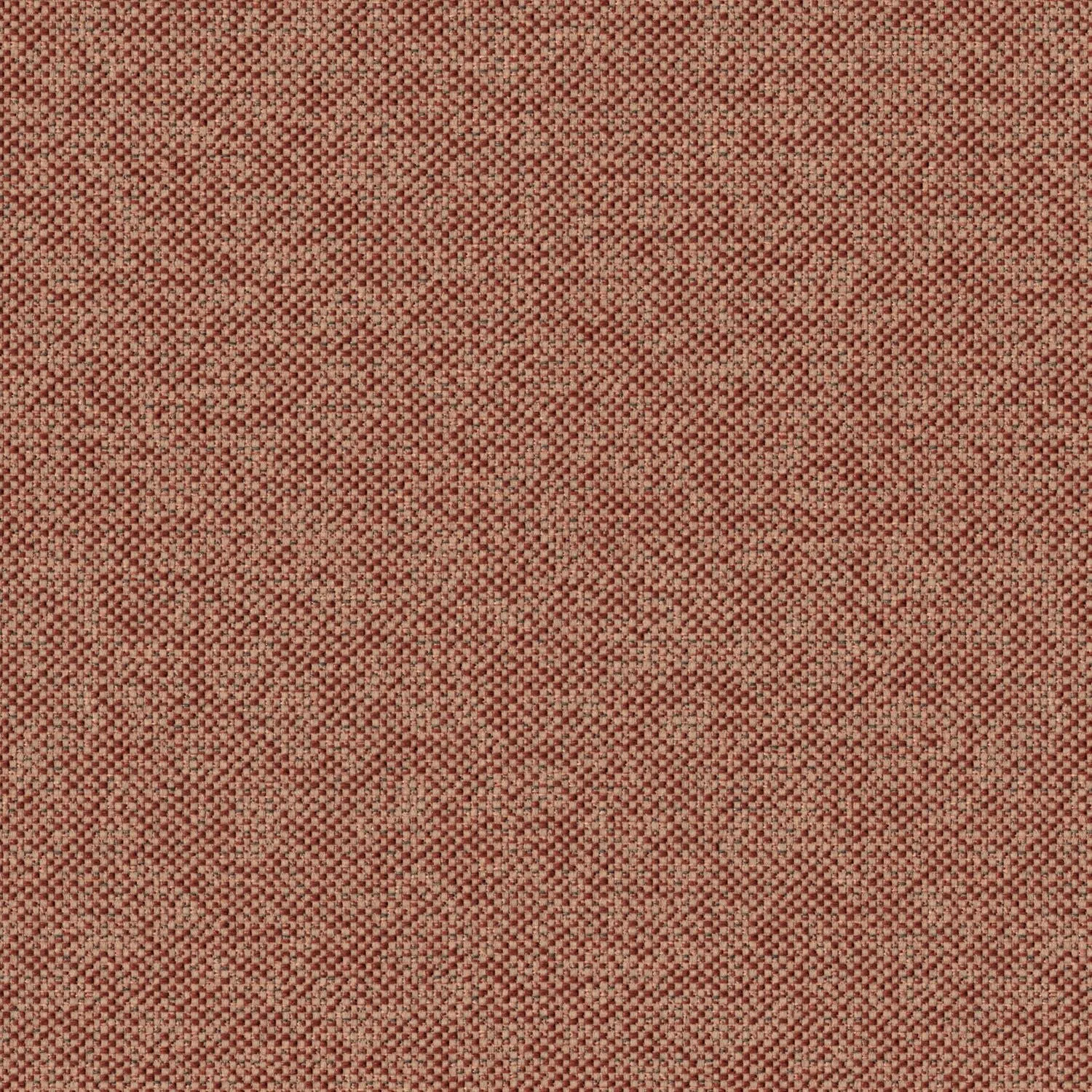 Texture Map - Coralline - 2004 - 07