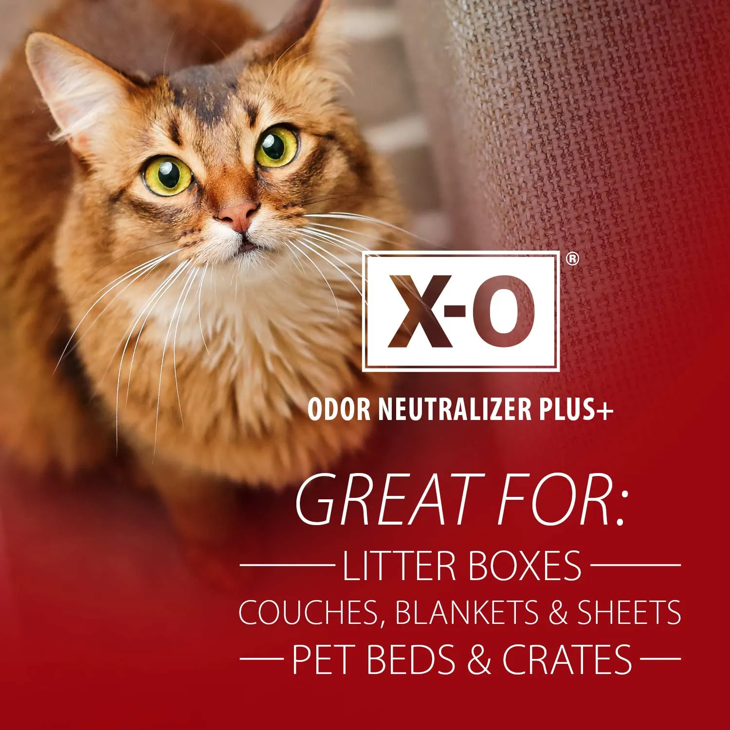 X-O Pet Odor Neutralizer Plus  by Jeffers